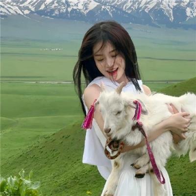 少林与咏春粤语